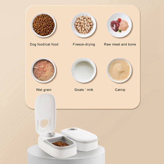 Smart pet food dispenser for cats and dogs with timer